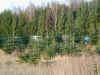 PC100019.JPG (78561 byte)